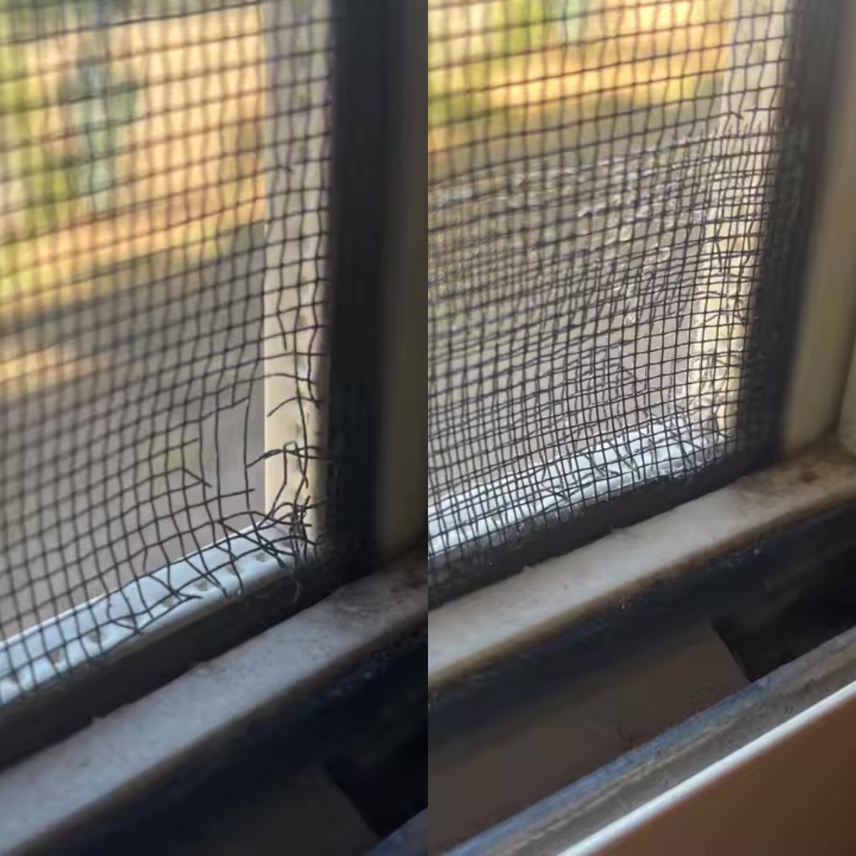 InsecTape - Banda Pentru Orice Plasă Ruptă